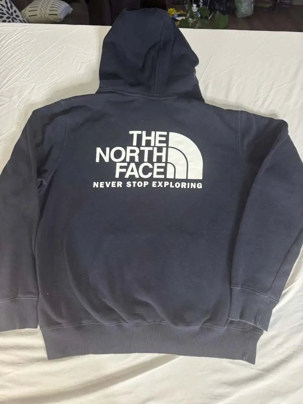 The North Face Men's Box NSE Pullover Hoodie
